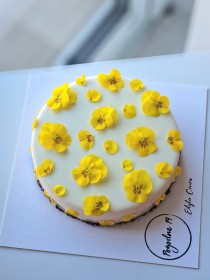TORT MUSOWY PALONA CZEKOLADA/MANGO/MARAKUJA 1218 porcji